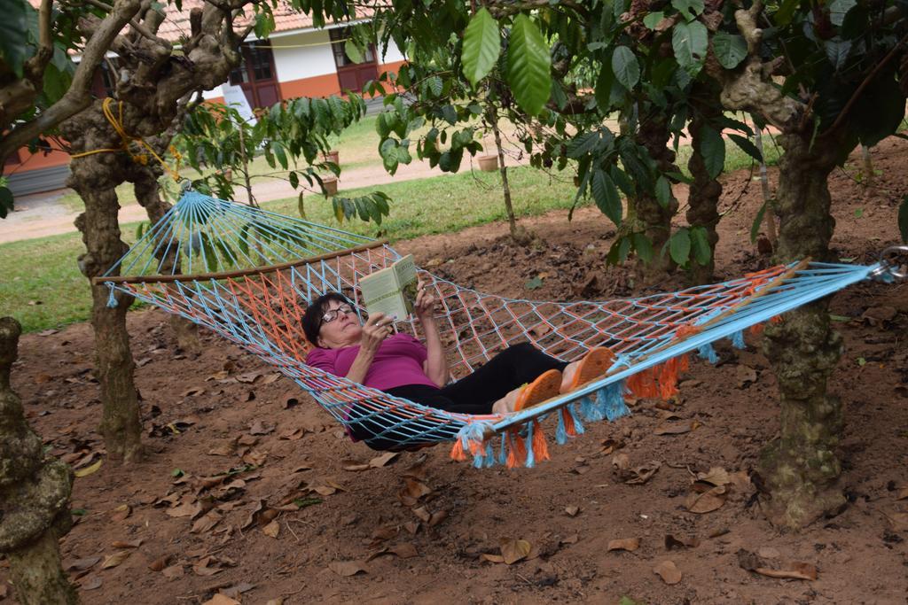 Stay Simple 3 Hills County Resort Kalpetta Luaran gambar